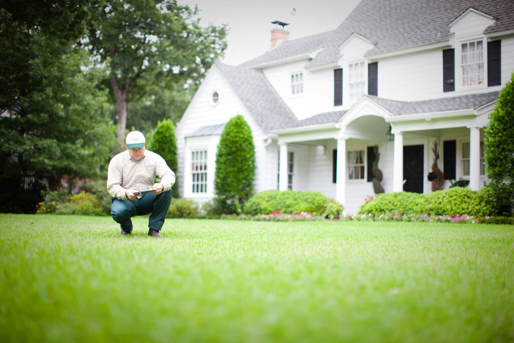 Lawn Care Services: Sprucing Up Your Yard