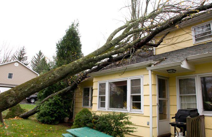 How to Know What Is Covered If Your Home Is Damaged By A Hurricane