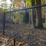 Fencing Contractor in Boise