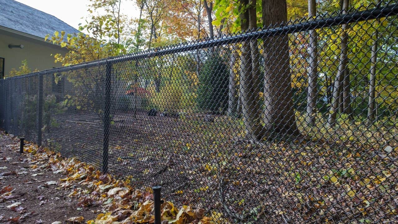 Fencing Contractor in Boise