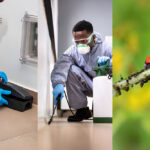 pest control near me